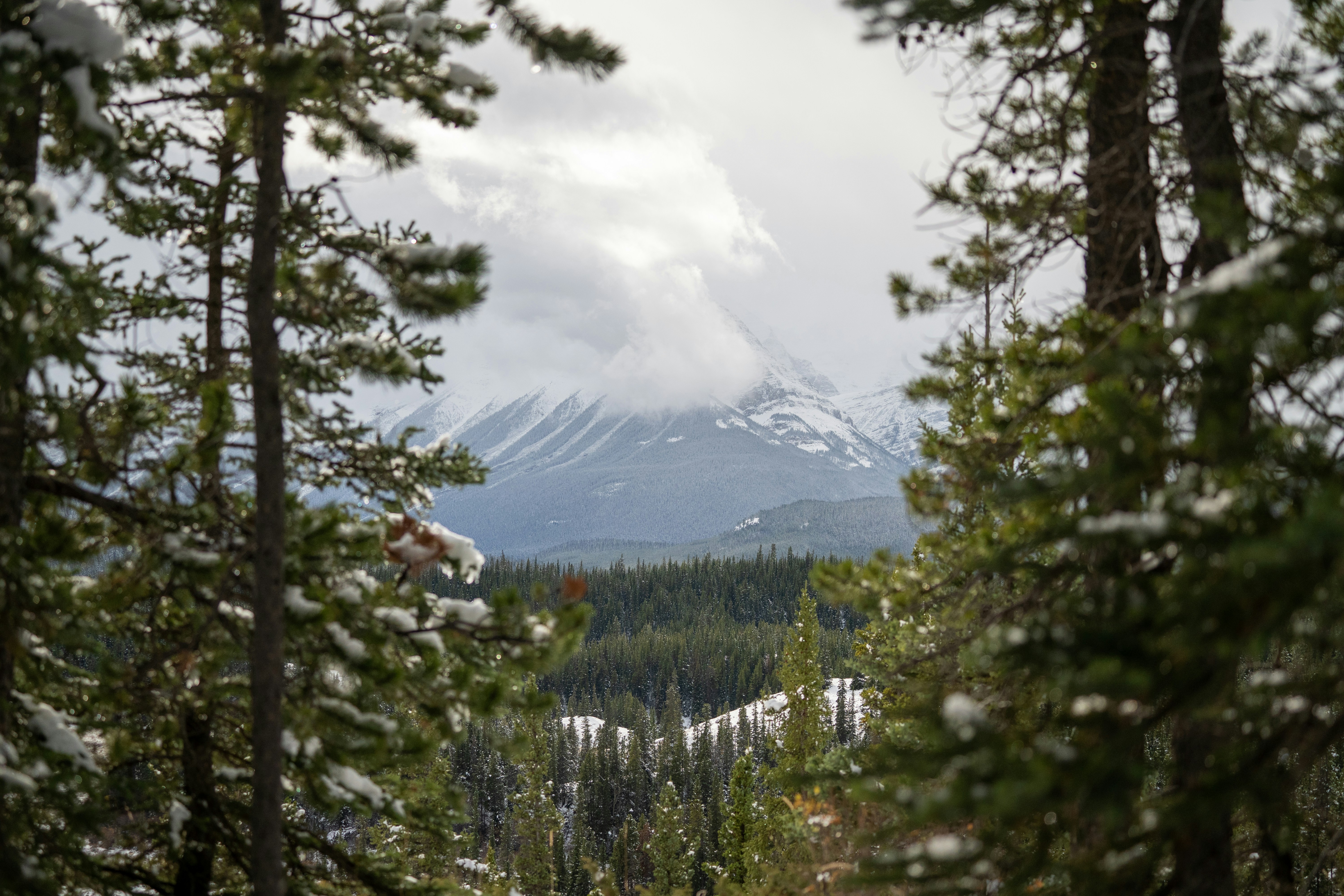 Photo by frenchriera