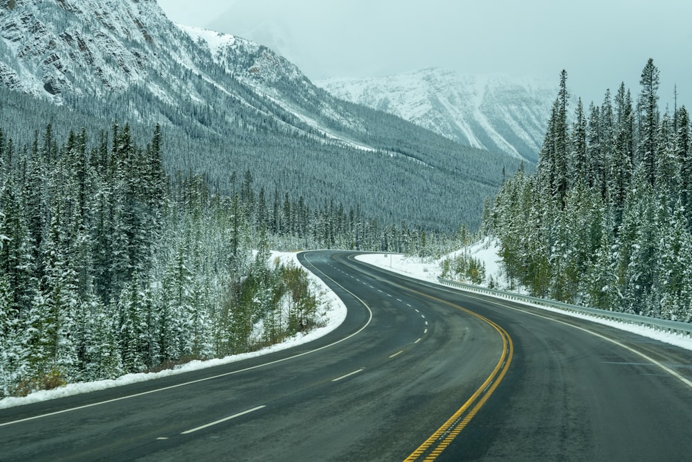 gray concrete road between green trees near mountain during daytime