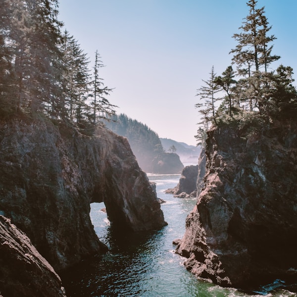 green trees on rocky mountain beside river during daytime