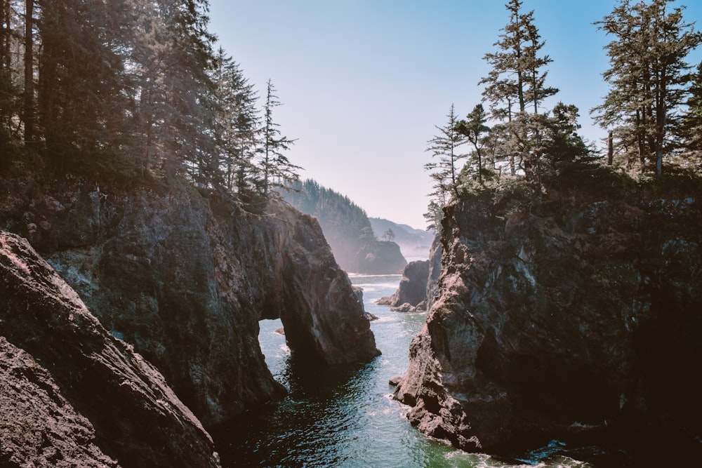 arbres verts sur la montagne rocheuse à côté de la rivière pendant la journée