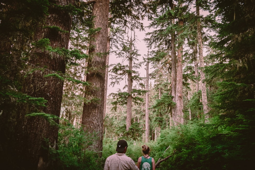 man and woman sitting on ground surrounded by trees during daytime