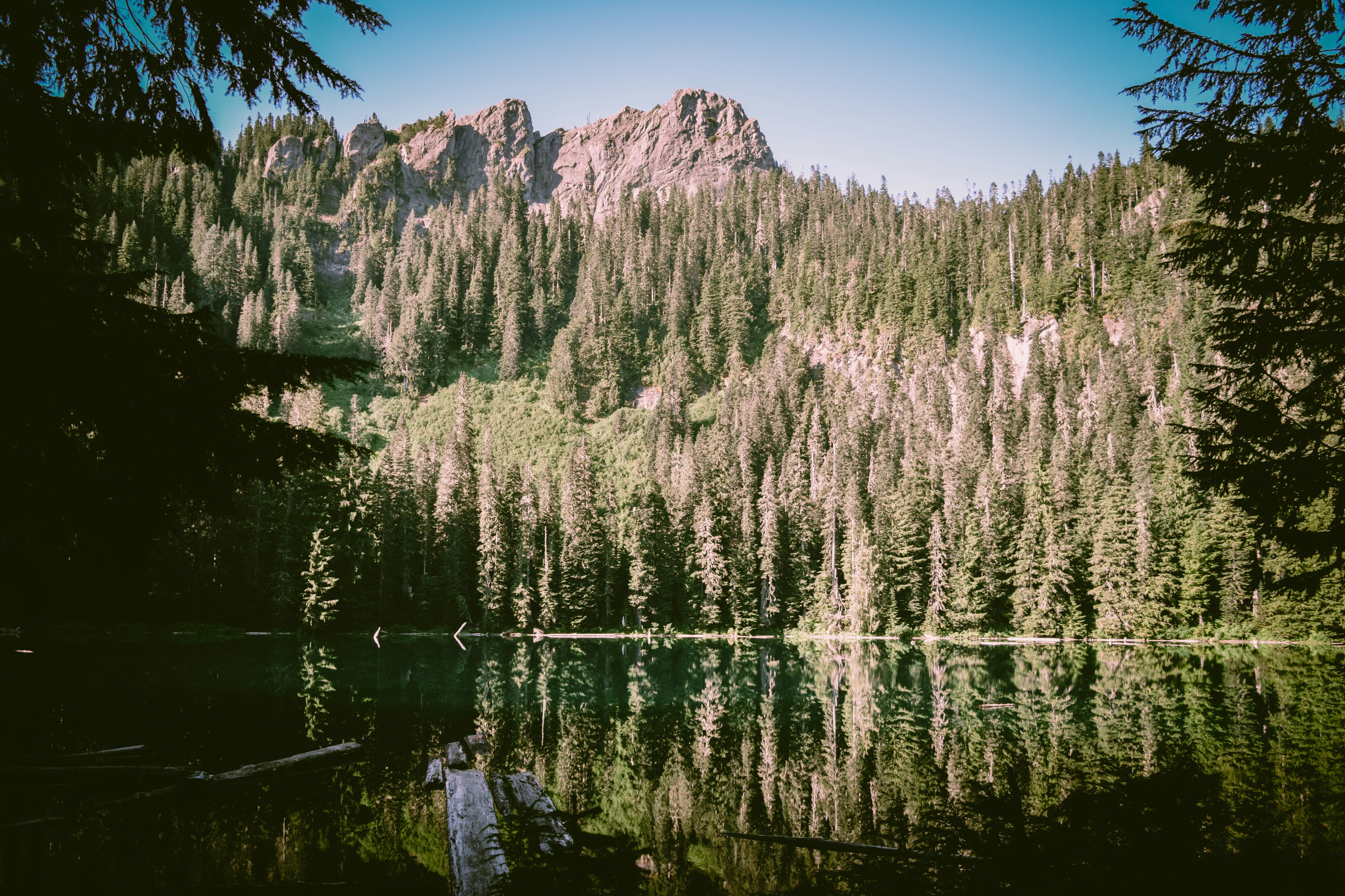 Photo by katie_musial