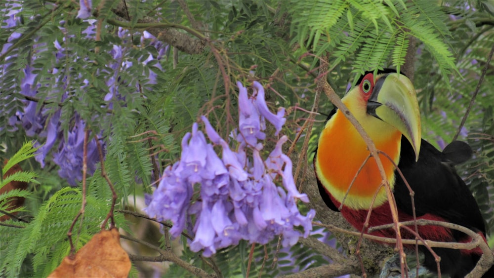 purple flowers with green leaves