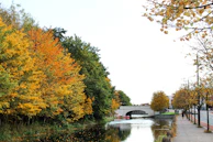 A peaceful walk along the Canal de Castilla surrounded by autumn colors.