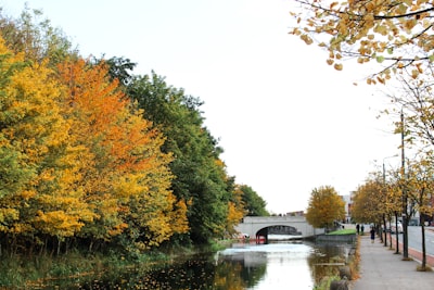 white and red house near river surrounded by trees during daytime dublin teams background