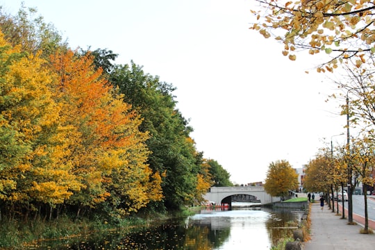 white and red house near river surrounded by trees during daytime in Grand Canal Dock Ireland