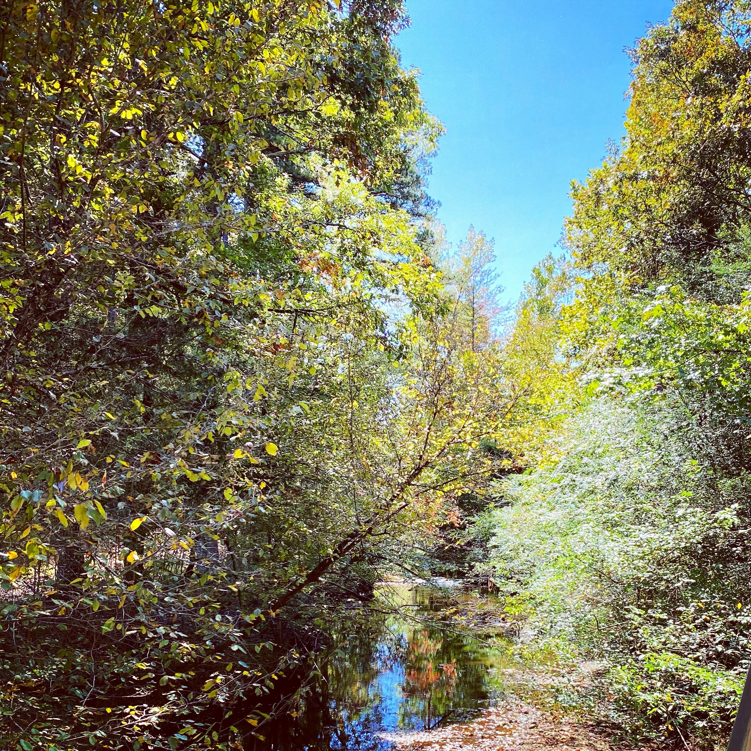 Photo by itsfullofstars