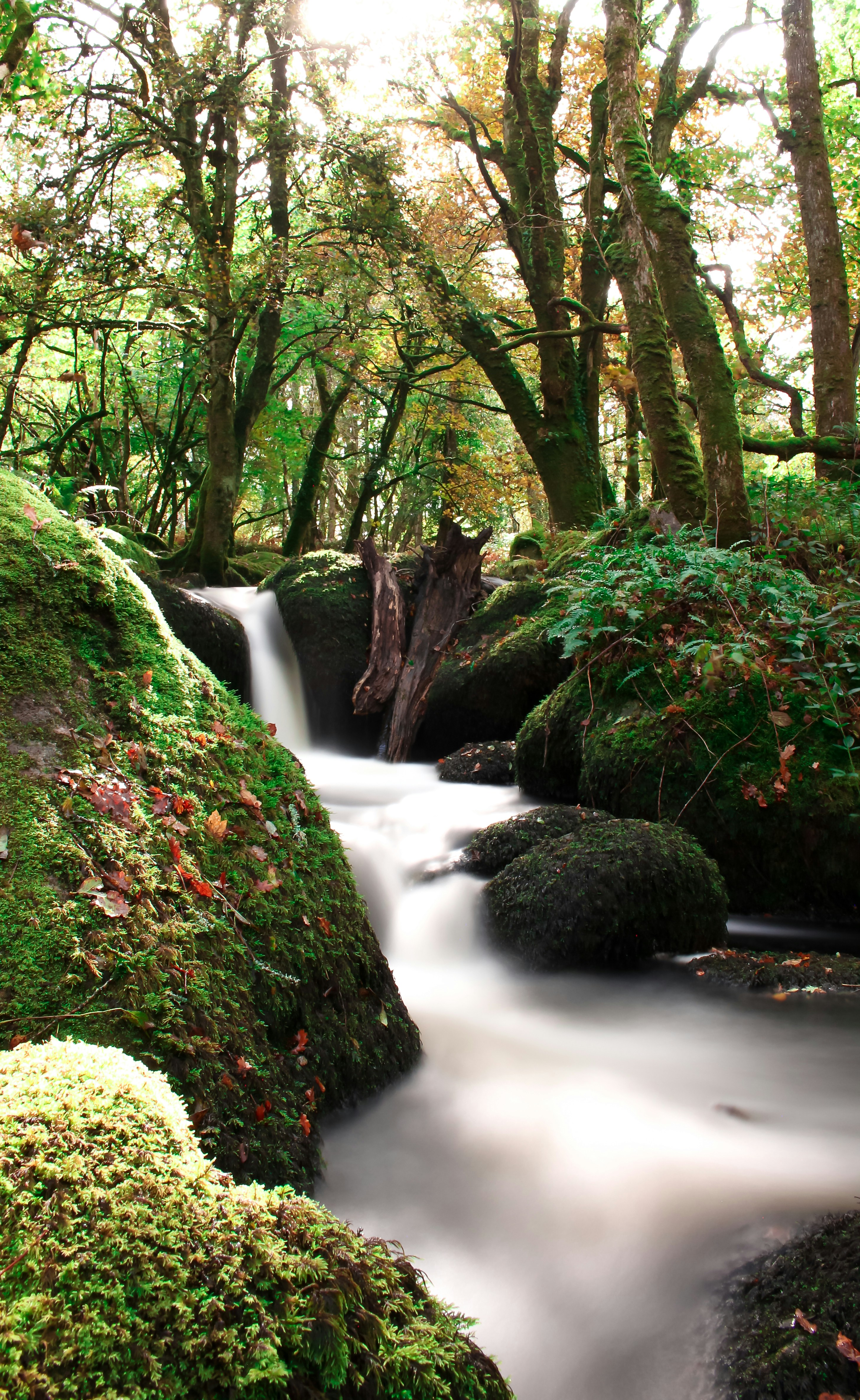 Photo by williambarellaphoto