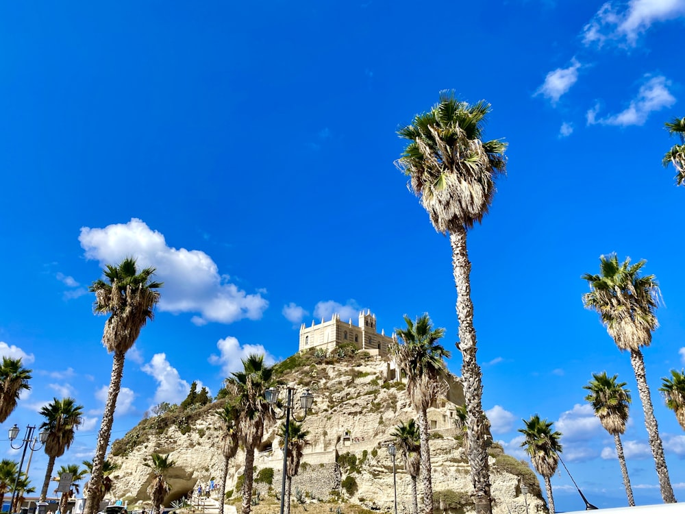 Árbol verde sobre formación rocosa marrón bajo cielo azul durante el día