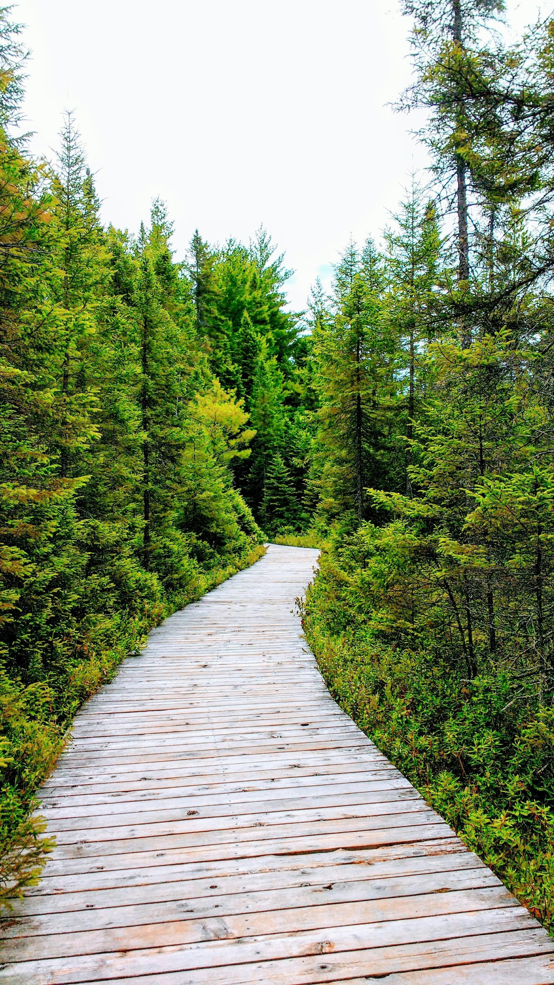 Photo by kaytemccormack