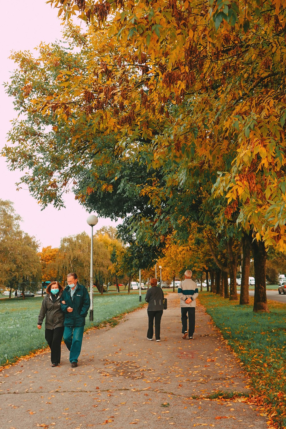people walking on pathway surrounded by trees during daytime