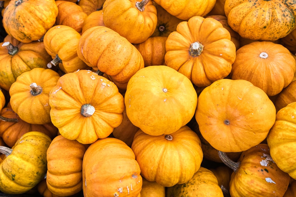 orange pumpkins on black steel rack