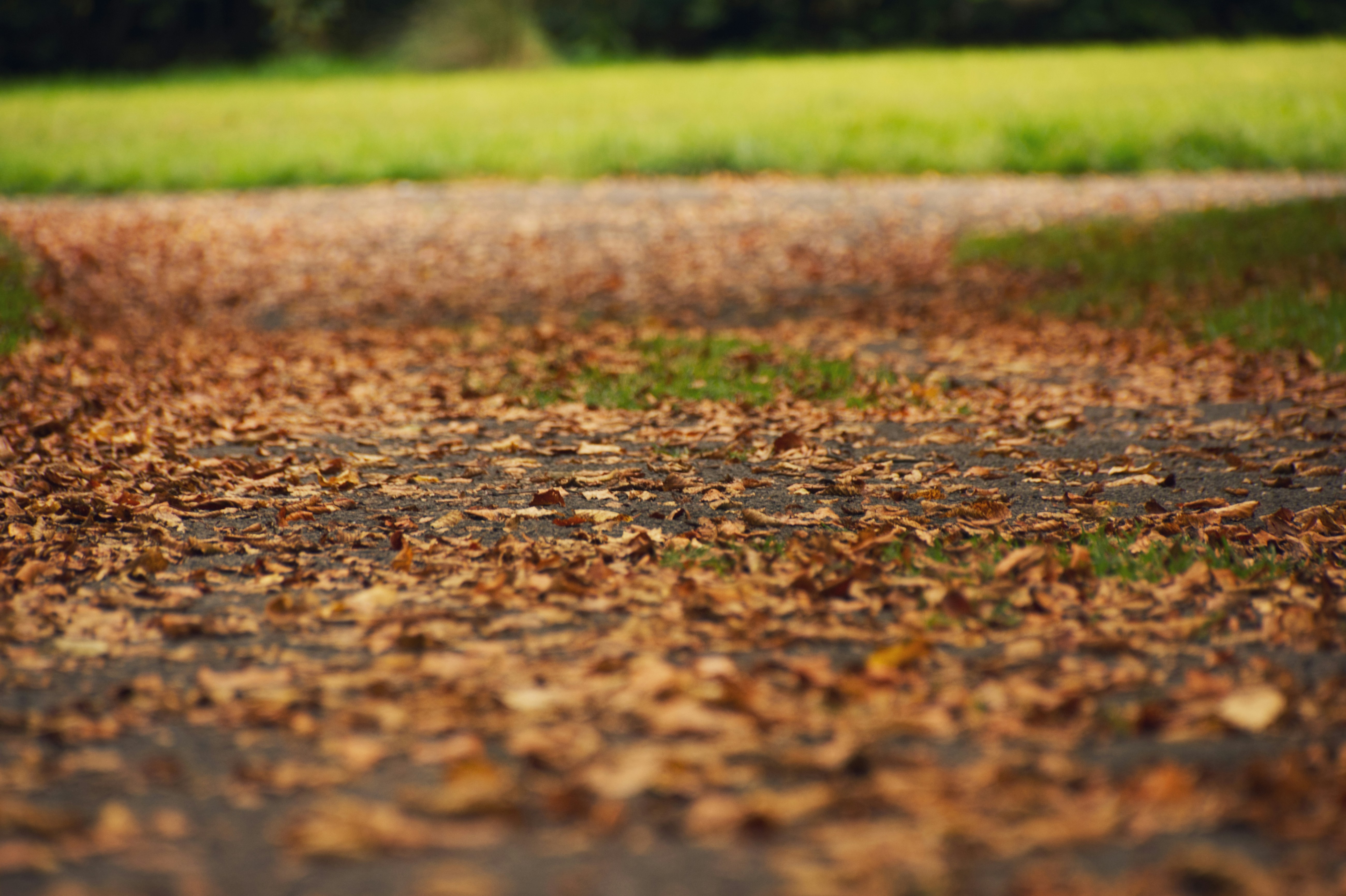 Photo by petecrockett