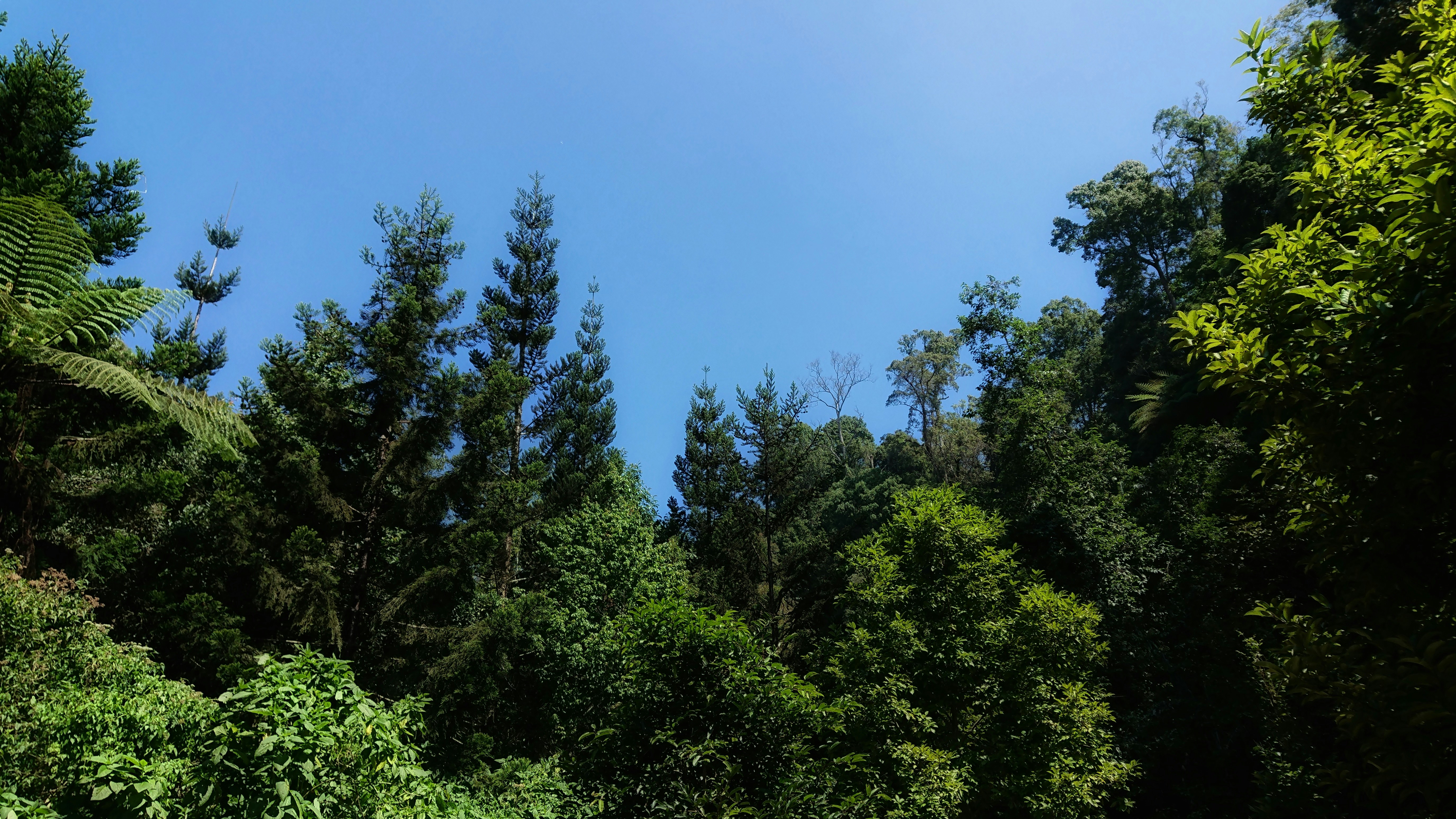 Photo by altairzoldyck