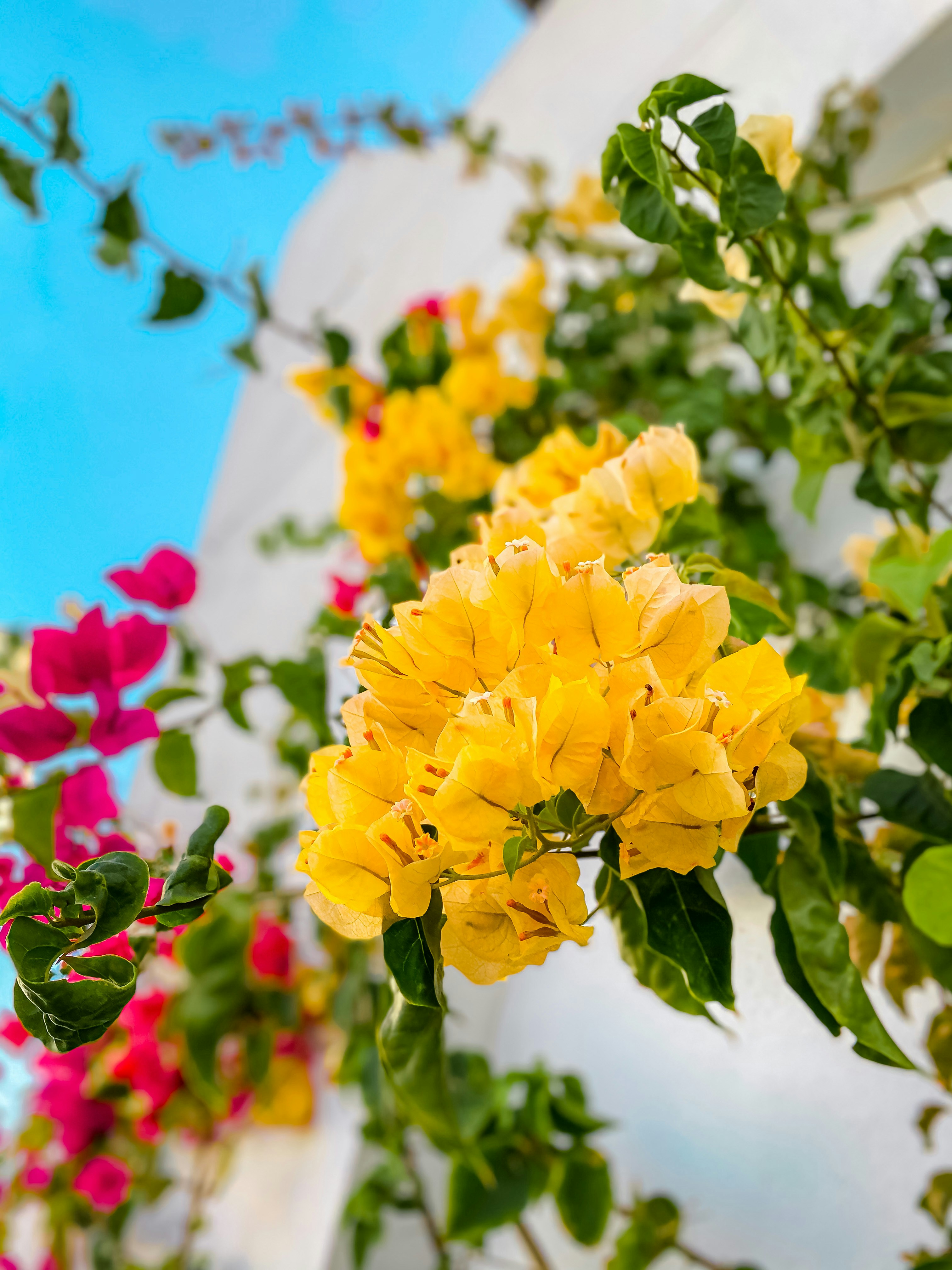 Photo by smartechdaily