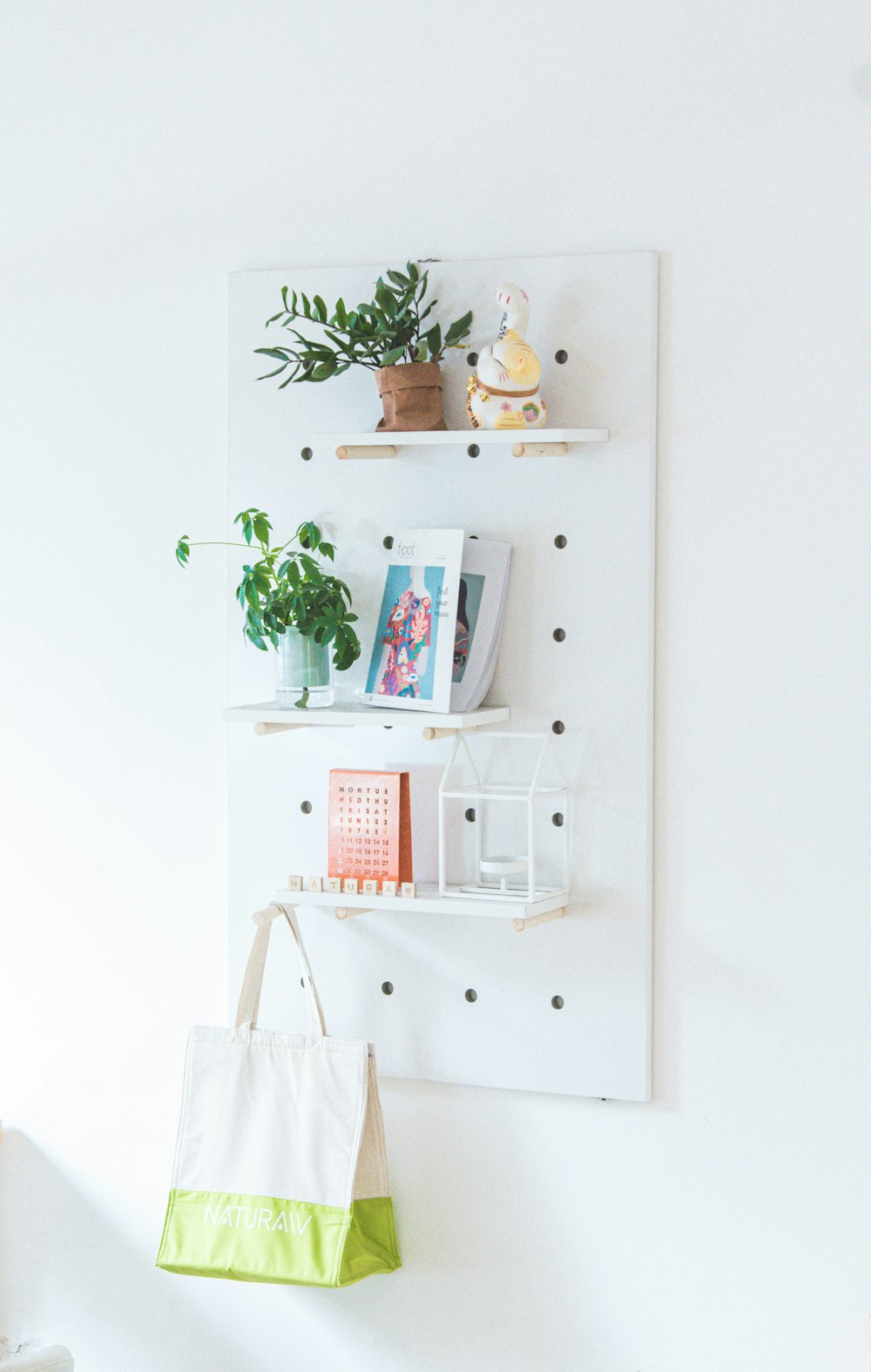 white wooden shelf with books and green plant