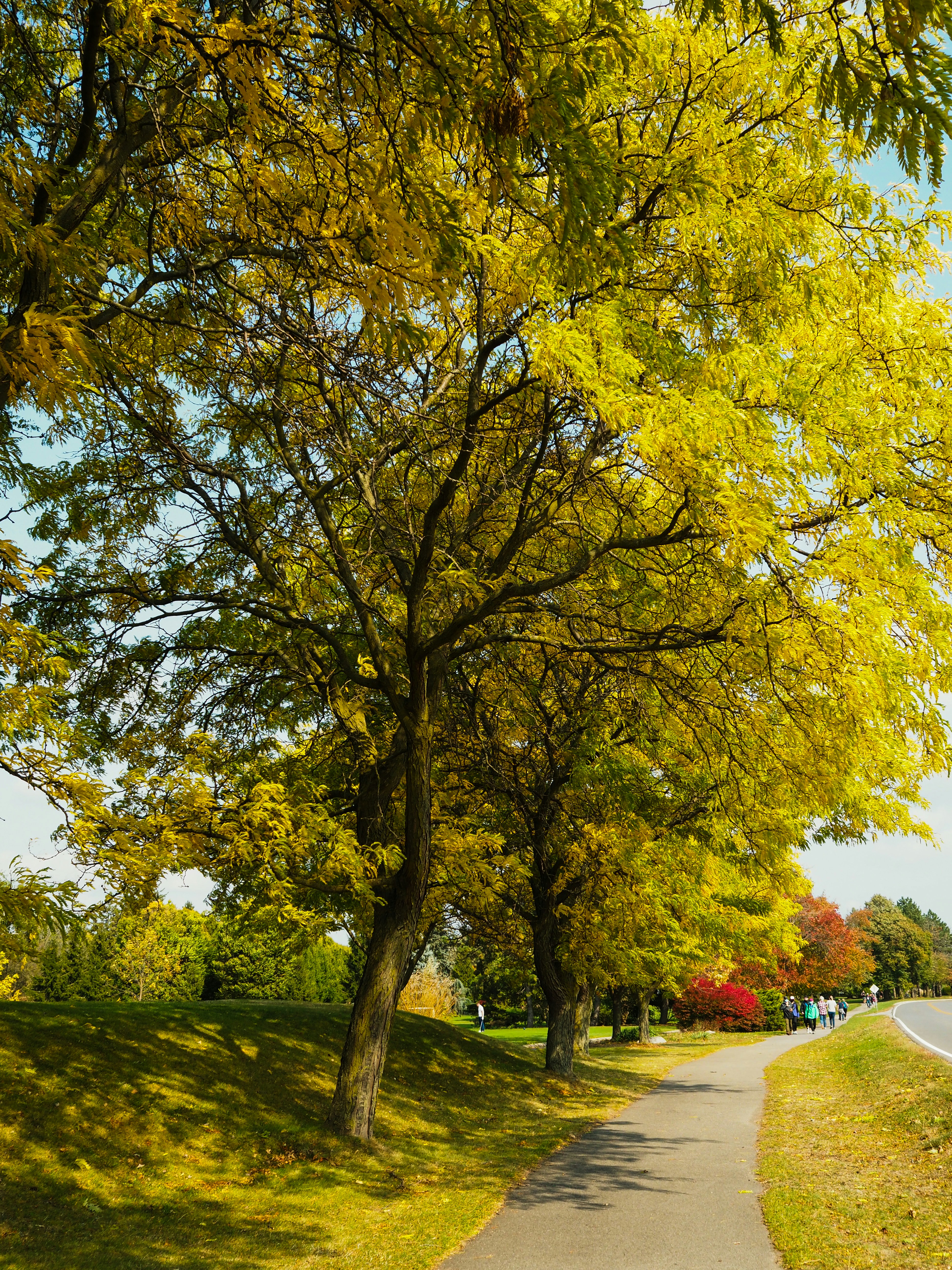 Photo by shirley_icepoint