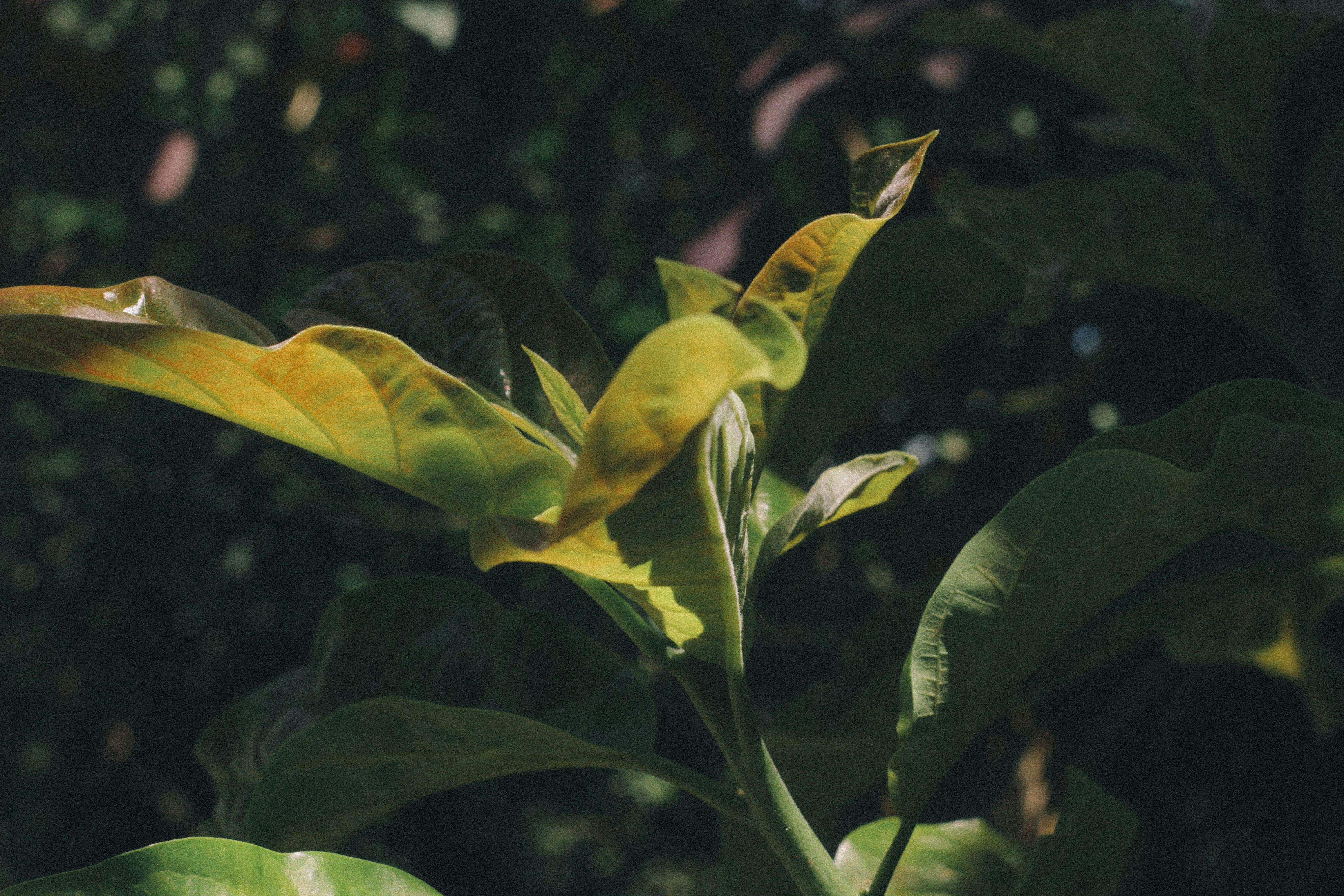 Photo by youwwwill