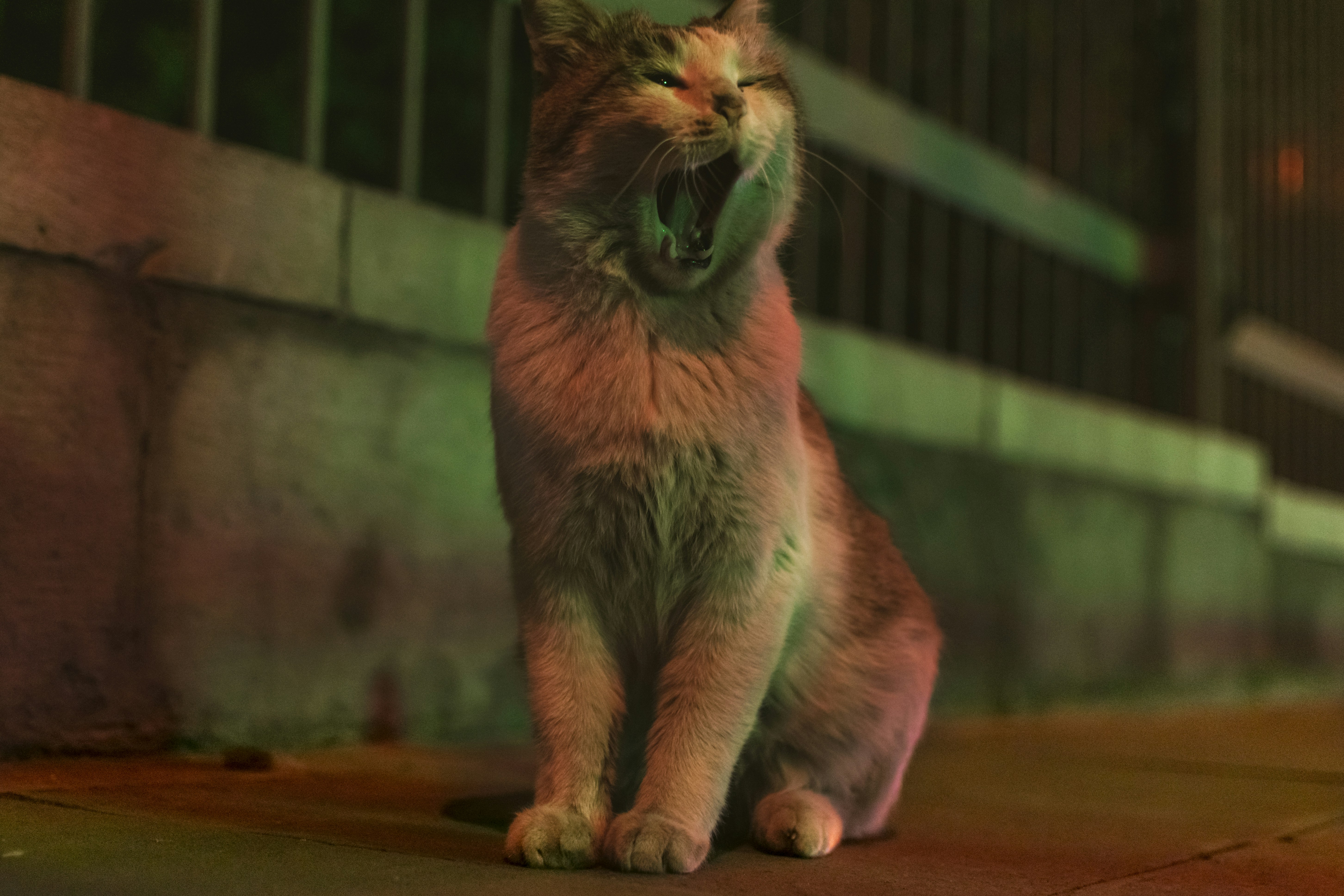 Photo by pouriaoskuie