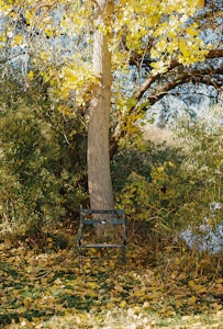 Folding Camp Chair