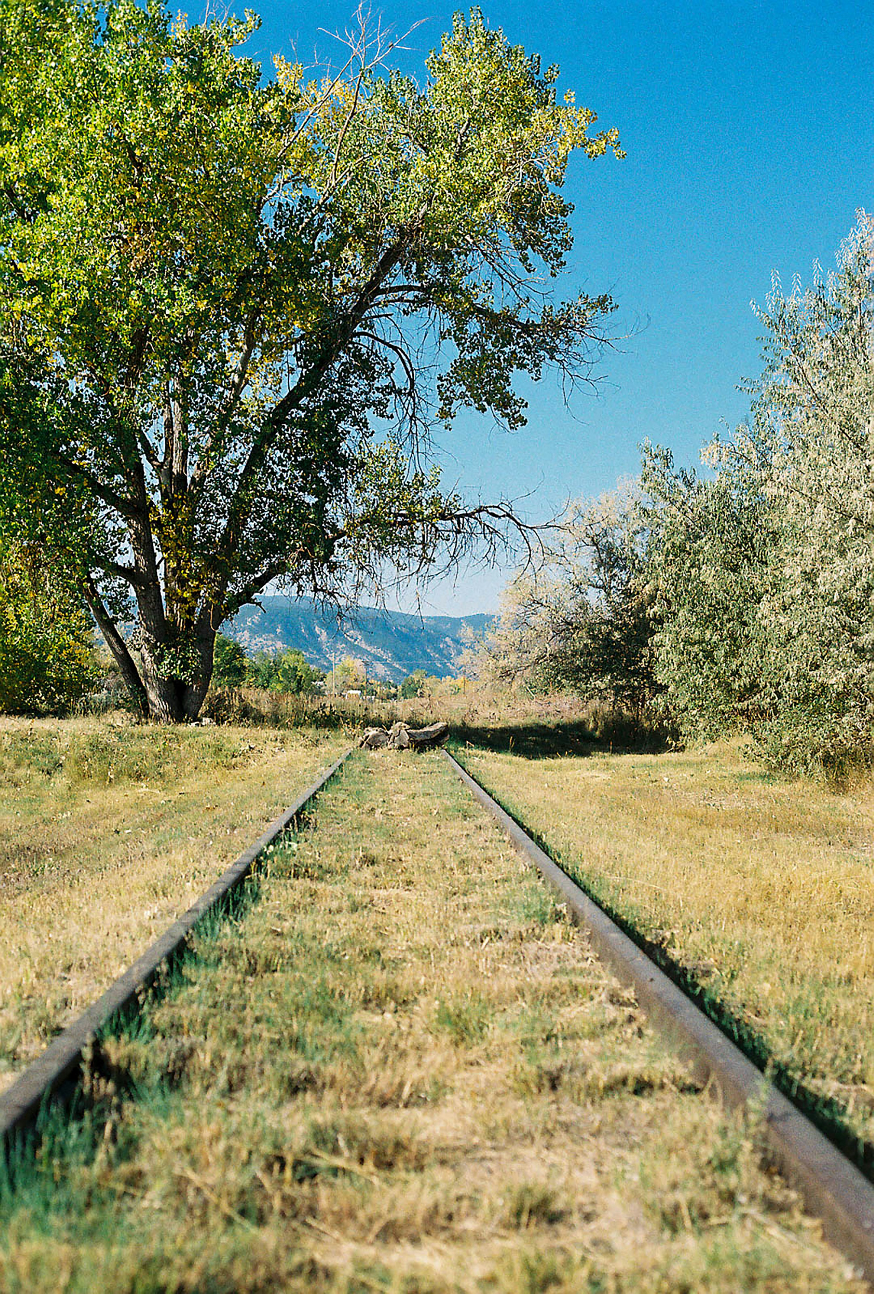 Harz Narrow Gauge Railway photo 2