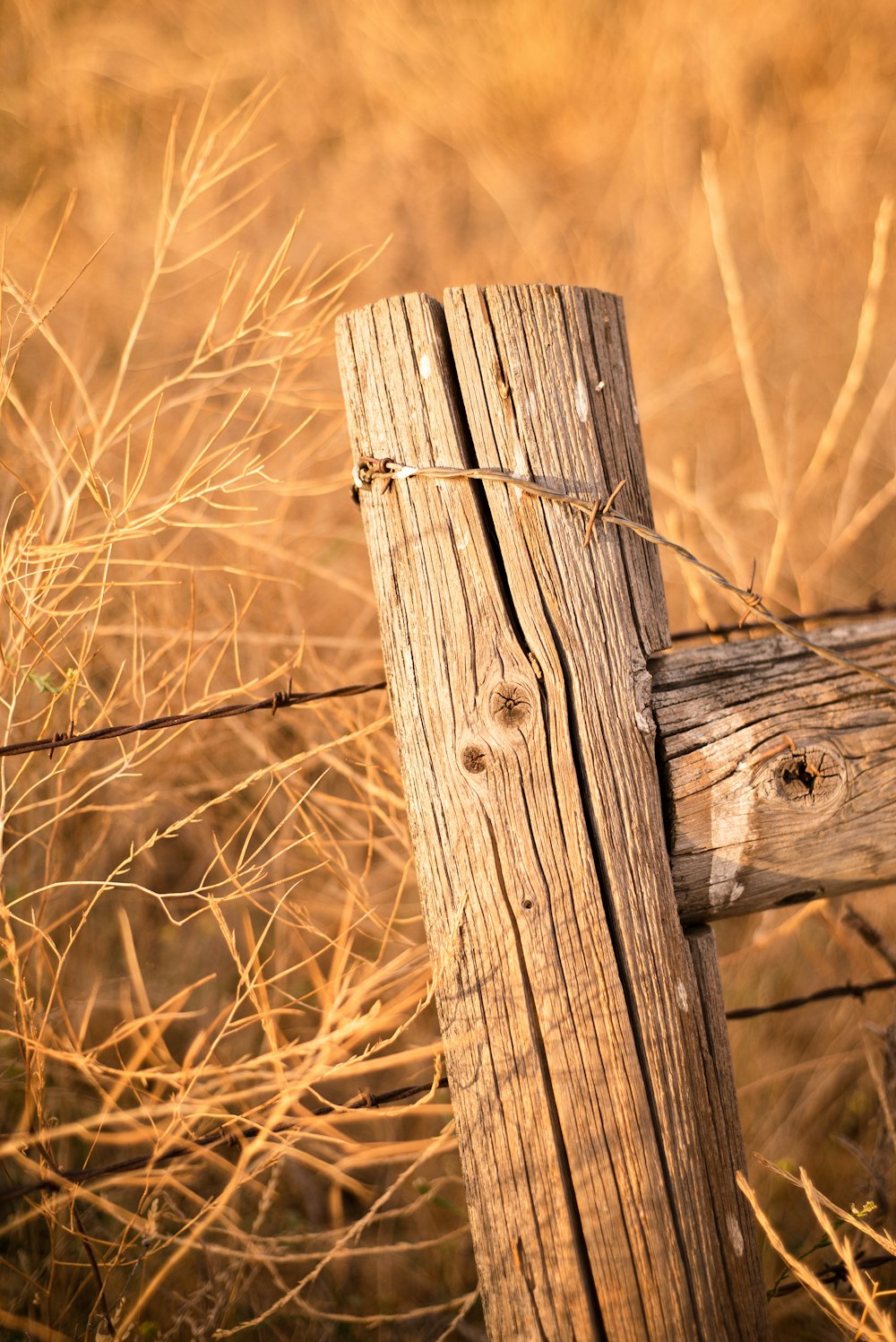 brown wooden fence with brown grass