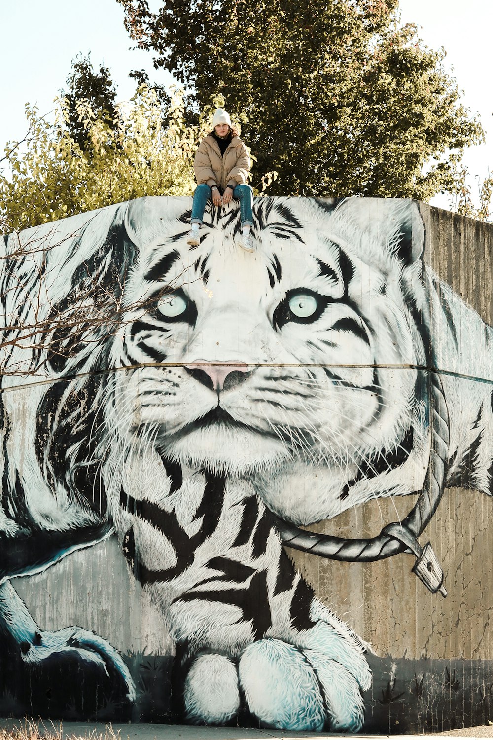 mulher na camisa azul que está ao lado da pintura branca e preta do tigre