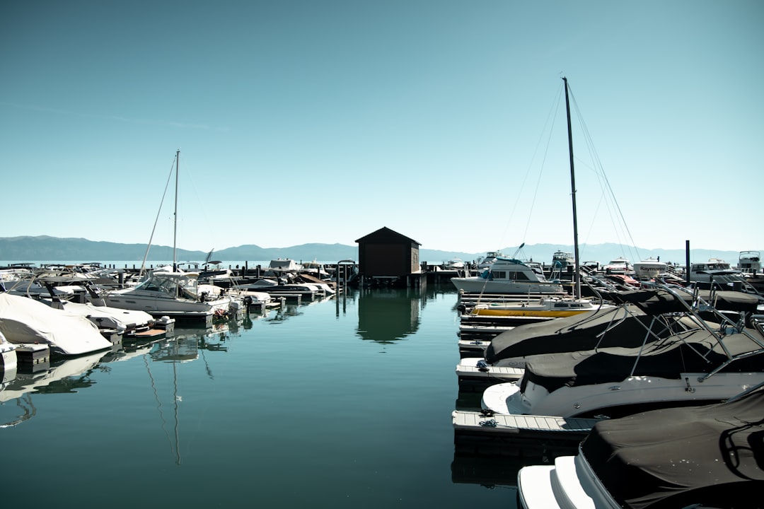 white and black boats on dock during daytime