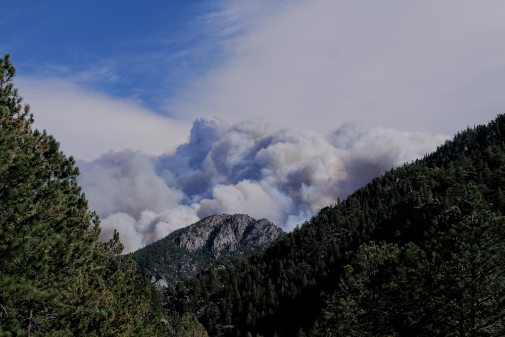 árvores verdes na montanha sob nuvens brancas e céu azul durante o dia