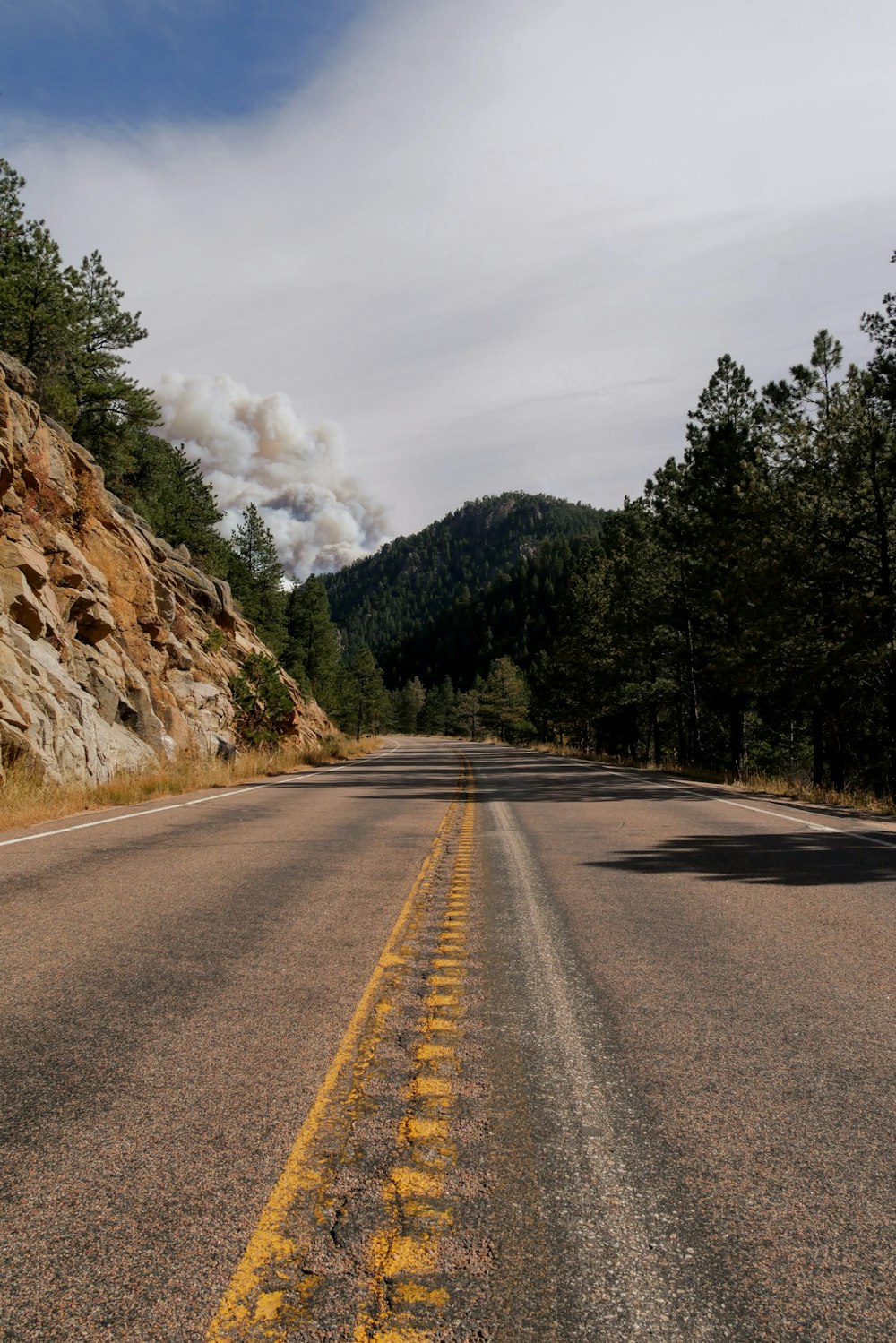 Route goudronnée grise entre les arbres verts pendant la journée