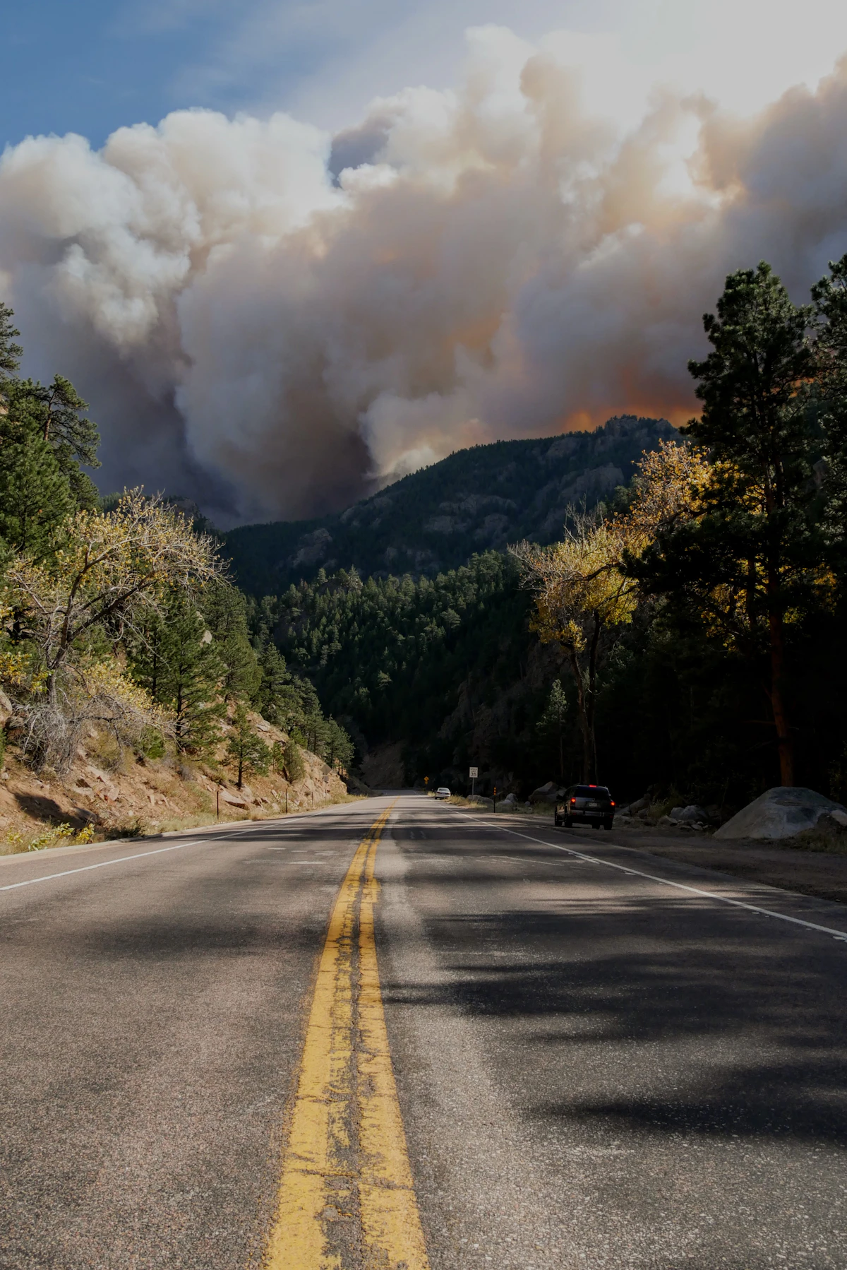 Wildfire smoke rising over a forested mountain landscape