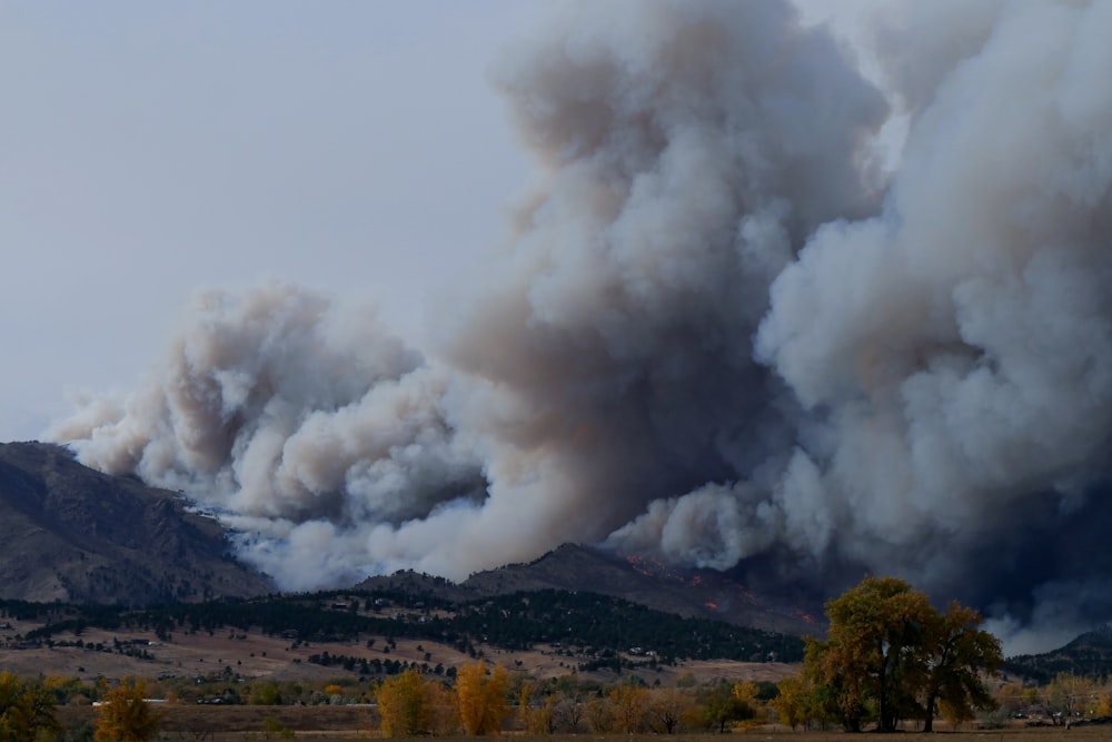 árvores verdes perto da montanha sob nuvens brancas durante o dia