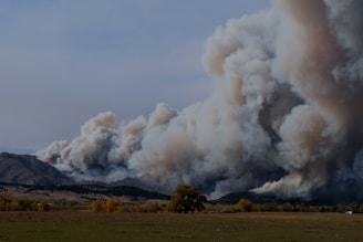 white smoke coming out from brown field
