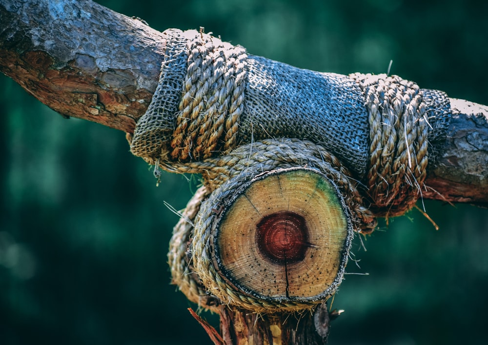 brown and gray rope on brown wooden stick