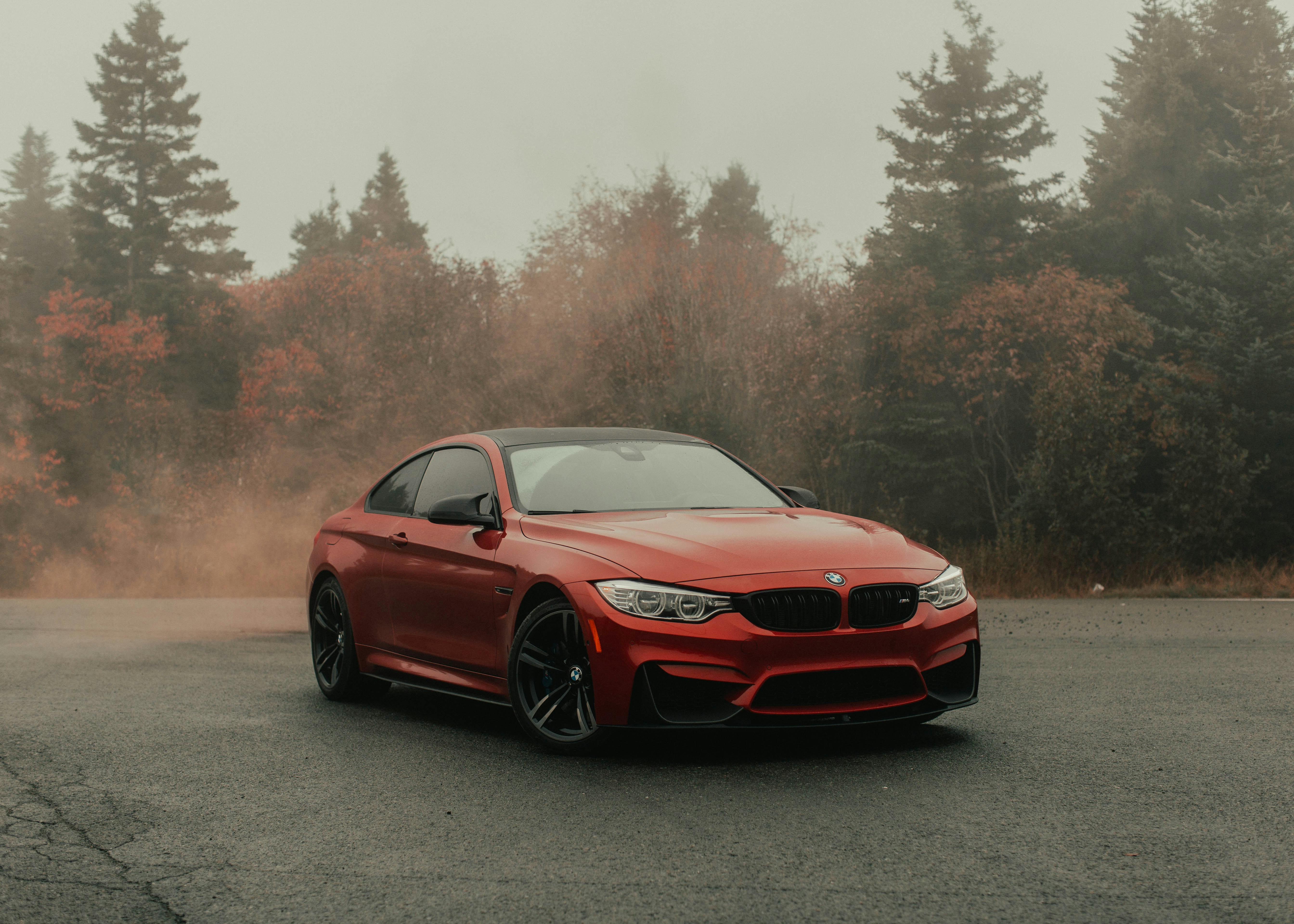 Photo by theshuttervision