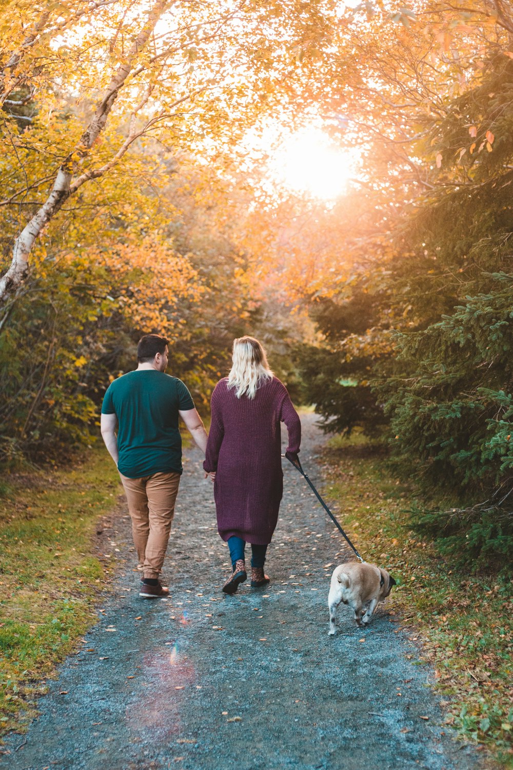 man and woman walking on pathway with dog during daytime
