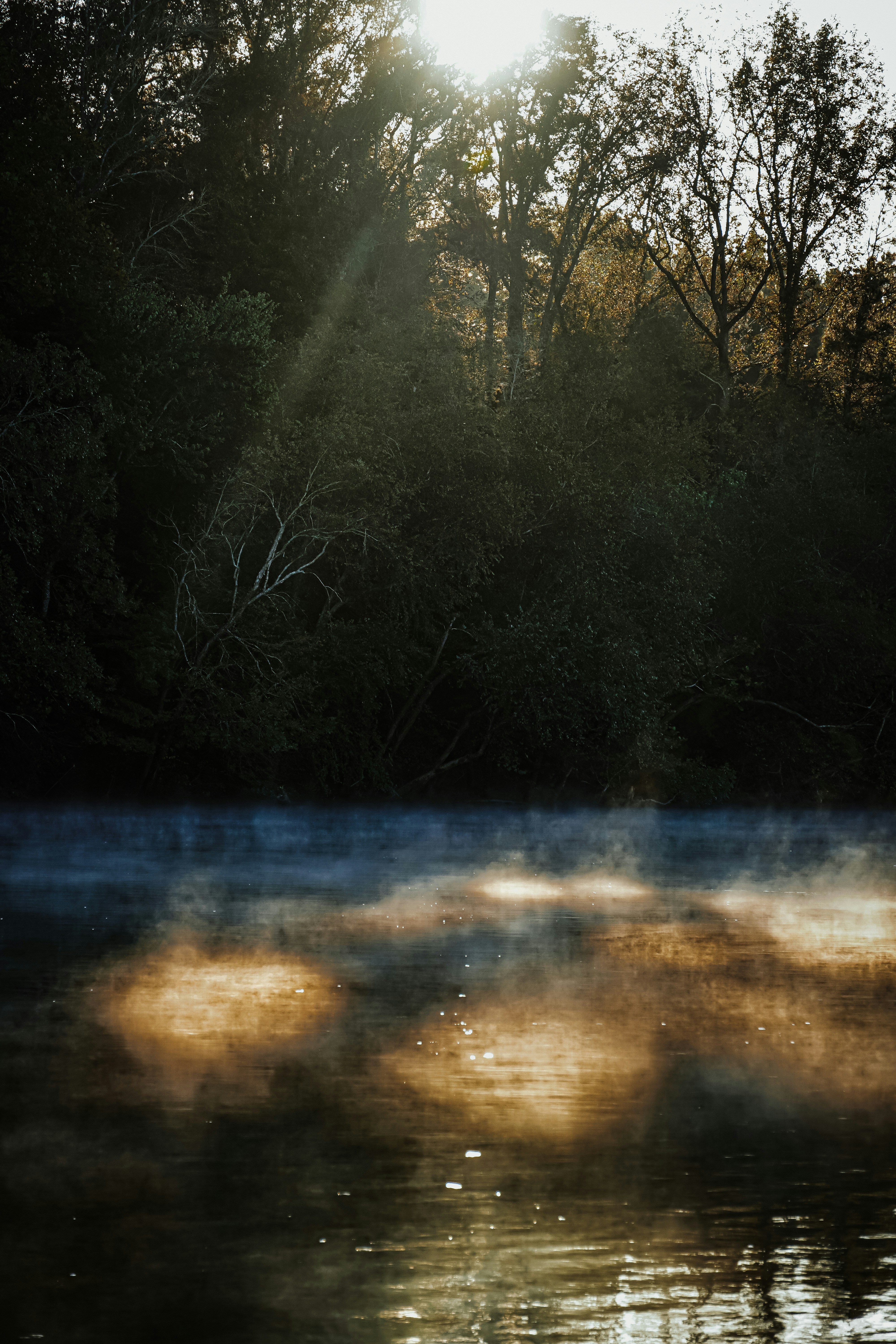 Photo by biggersmiles