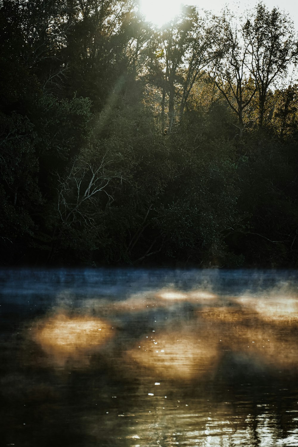 body of water near trees during daytime