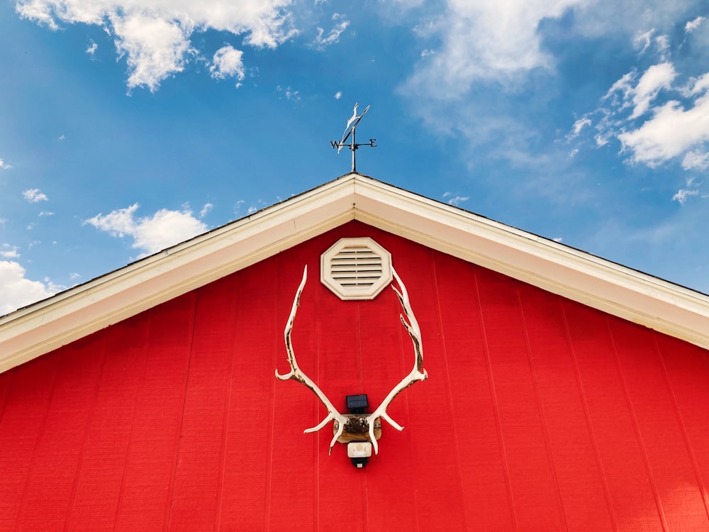 red and white wooden house under blue sky during daytime