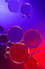 A colorful digital brain made of interconnected bubbles glowing softly on a dark background.