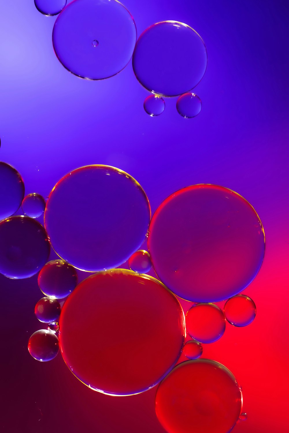 red yellow and blue bubbles