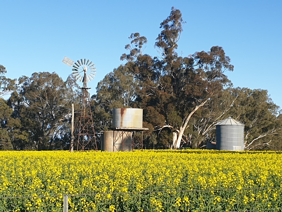 medtech related image for: Australia Pledges $735 Million to Launch Biofuel Industry