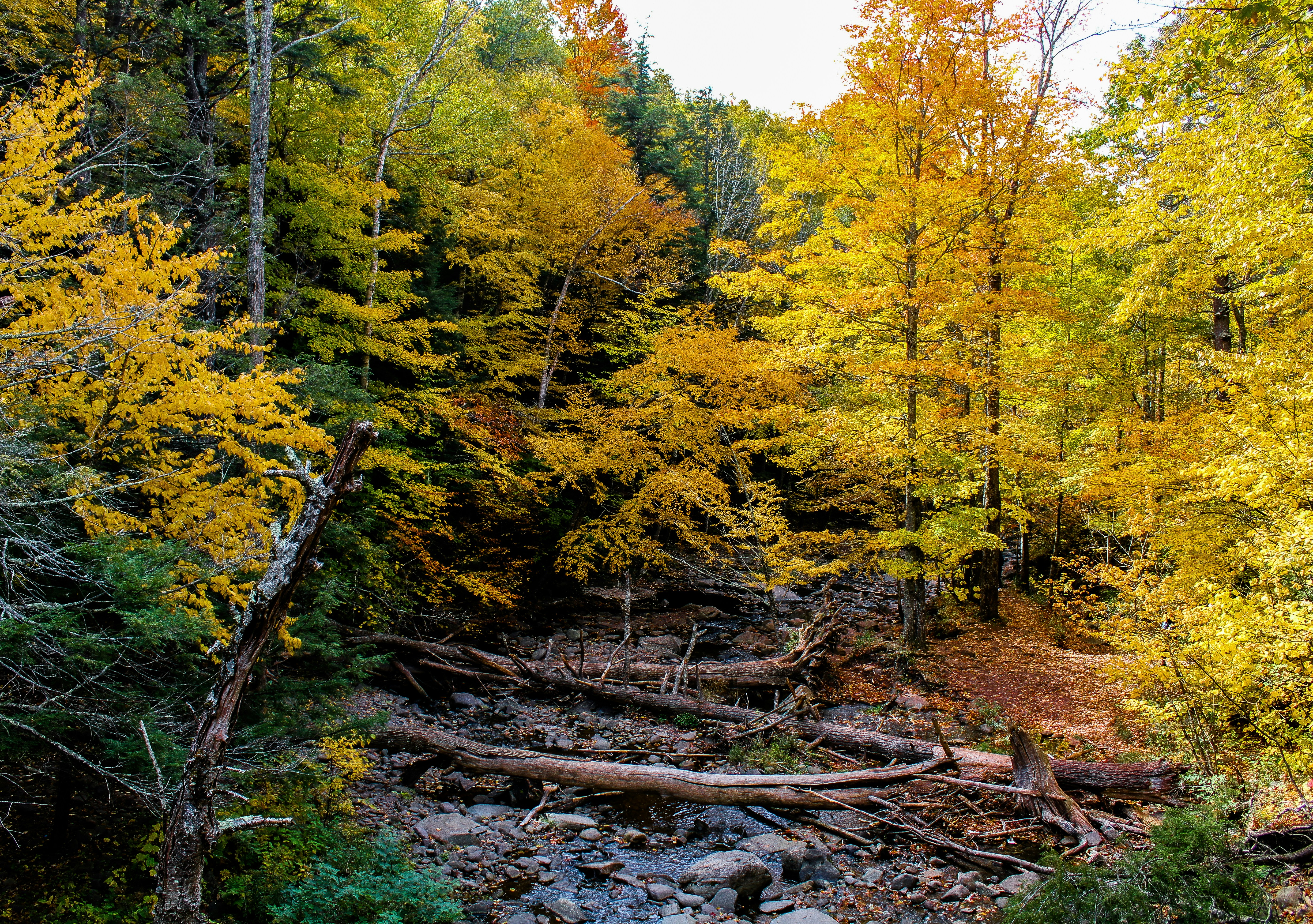 Photo by aishwaryagunde