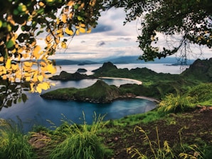 green grass field near body of water during daytime
