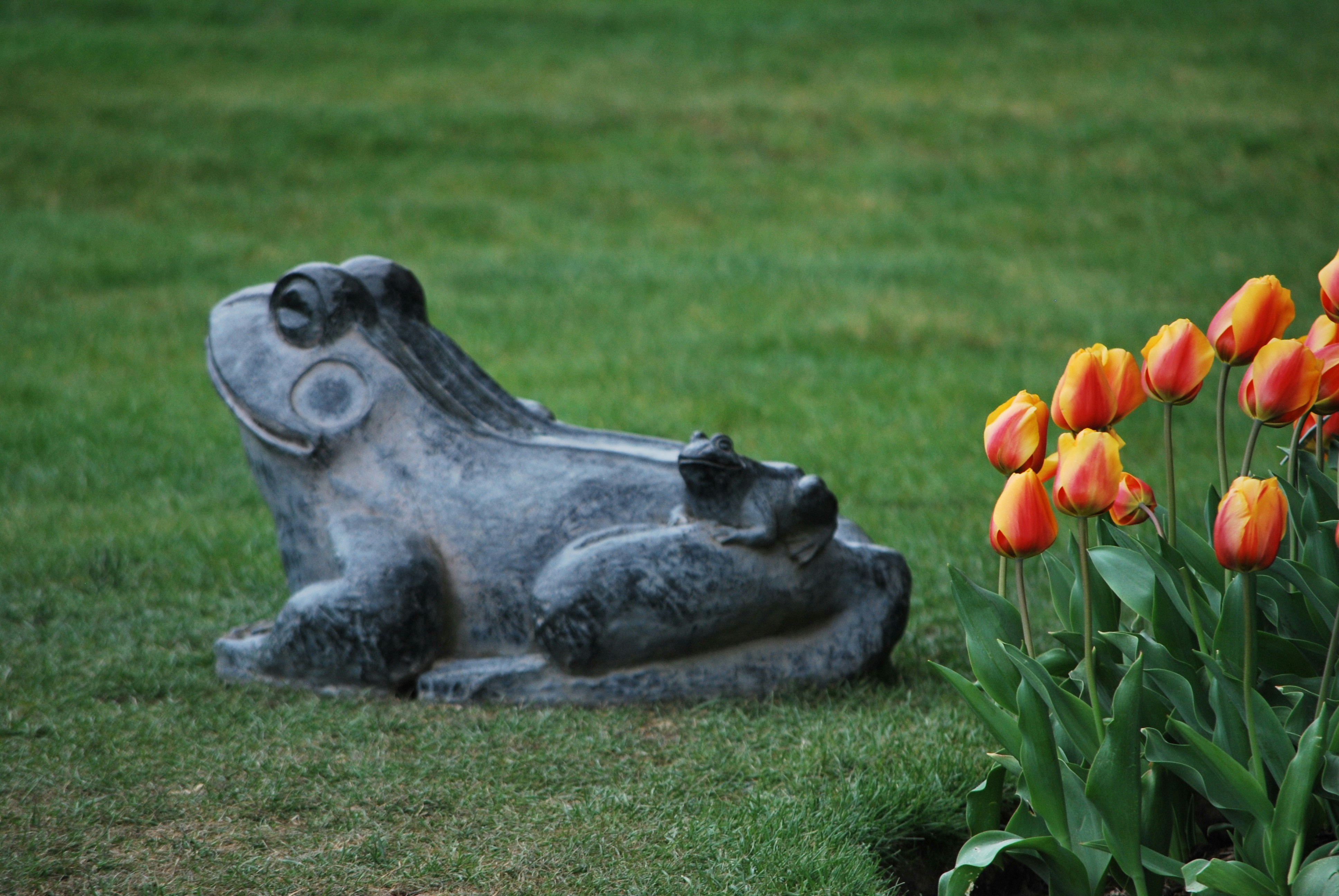 Photo by tonitisdale