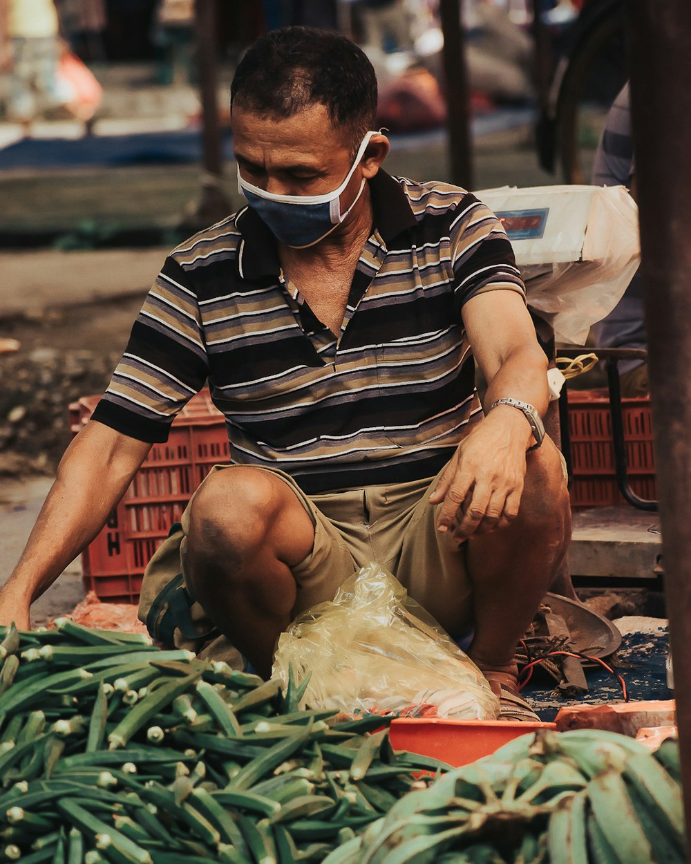 man in black and white striped polo shirt holding green vegetable