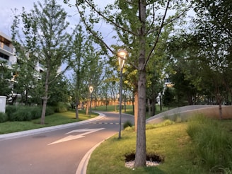 Modern sustainable urban park with native plants and solar lighting at dusk