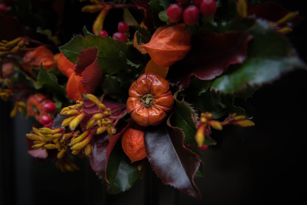 red and yellow flower in close up photography