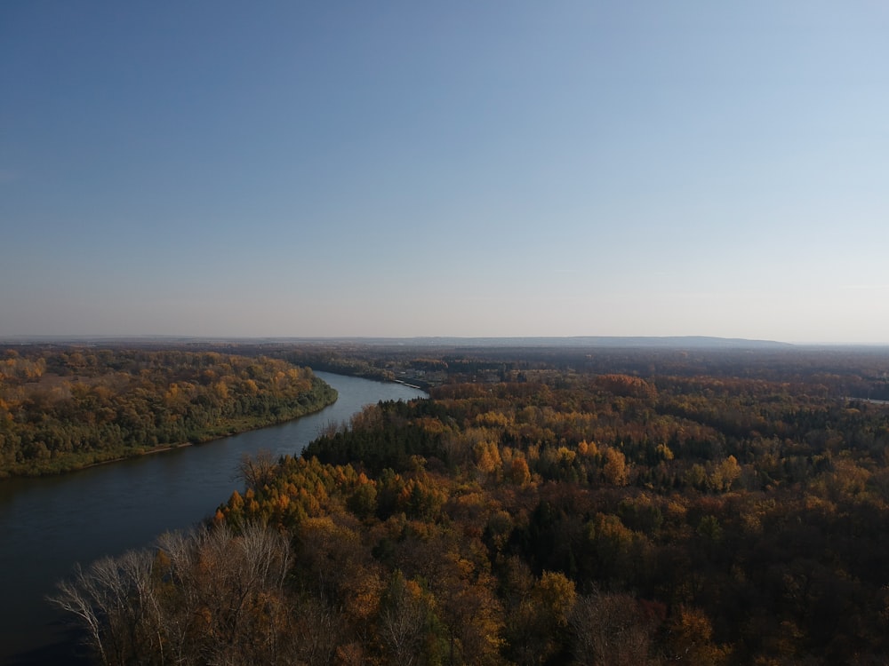 green trees near river during daytime