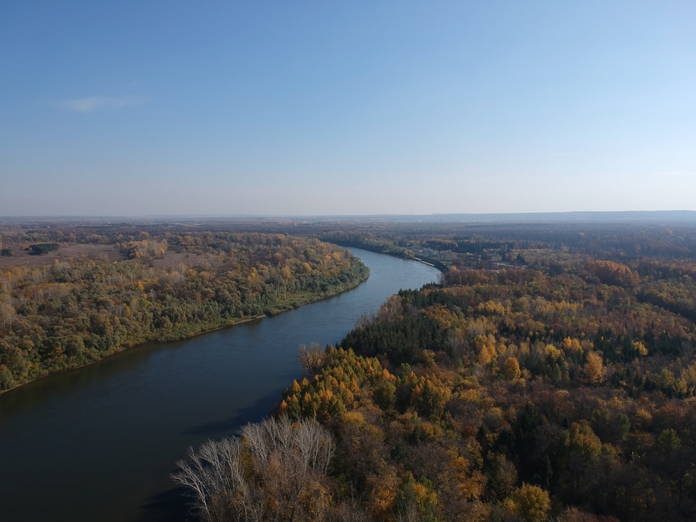 green and brown trees near river during daytime